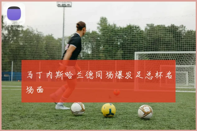 马丁内斯哈兰德同场爆发足总杯名场面