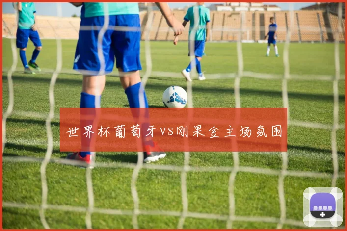 世界杯葡萄牙vs刚果金主场氛围